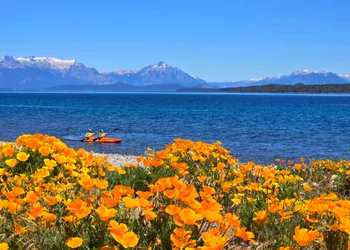 Анчоусы под шубой и салют на пляже: Как празднуют Новый год в разных странах